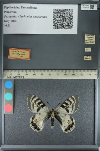 Media type: image;   Entomology 180439